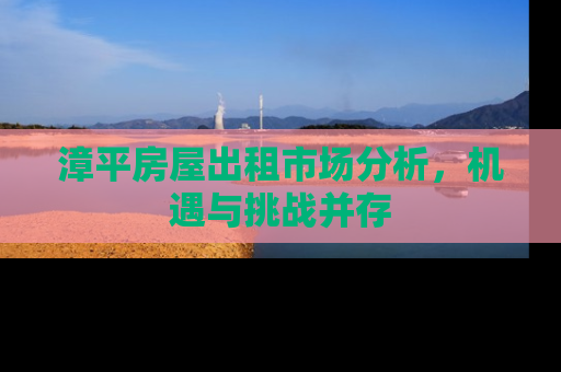 漳平房屋出租市场分析，机遇与挑战并存