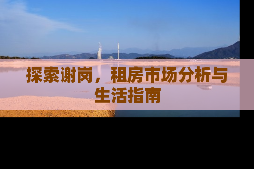 探索谢岗，租房市场分析与生活指南