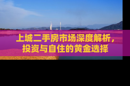 上城二手房市场深度解析，投资与自住的黄金选择