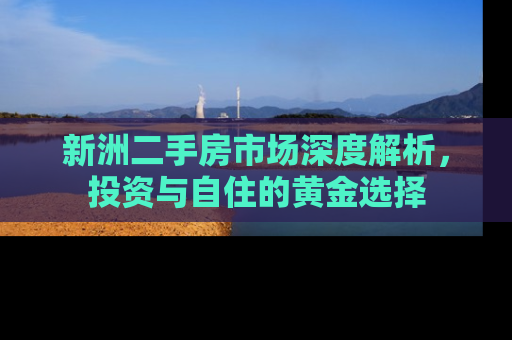 新洲二手房市场深度解析，投资与自住的黄金选择