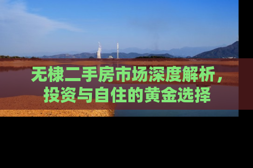 无棣二手房市场深度解析，投资与自住的黄金选择