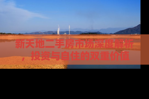 新天地二手房市场深度解析，投资与自住的双重价值