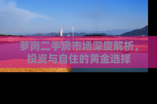 萝岗二手房市场深度解析，投资与自住的黄金选择