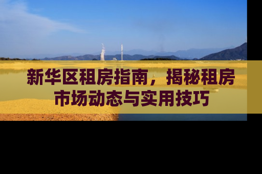 新华区租房指南，揭秘租房市场动态与实用技巧