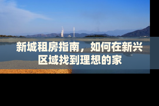新城租房指南，如何在新兴区域找到理想的家