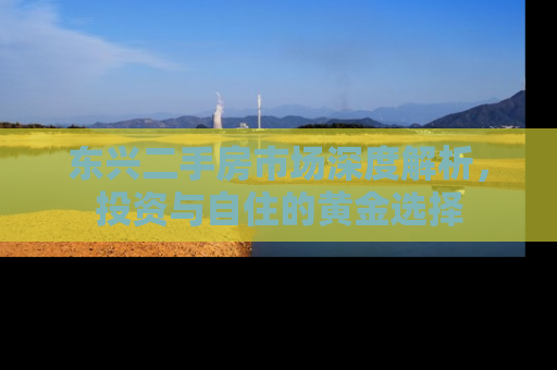东兴二手房市场深度解析，投资与自住的黄金选择
