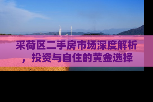 采荷区二手房市场深度解析，投资与自住的黄金选择