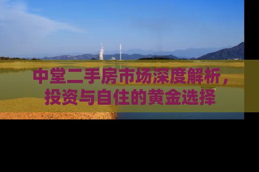 中堂二手房市场深度解析，投资与自住的黄金选择