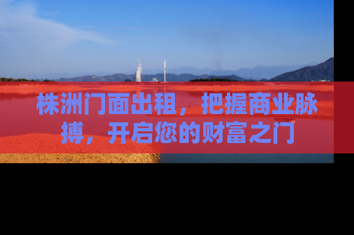 株洲门面出租，把握商业脉搏，开启您的财富之门
