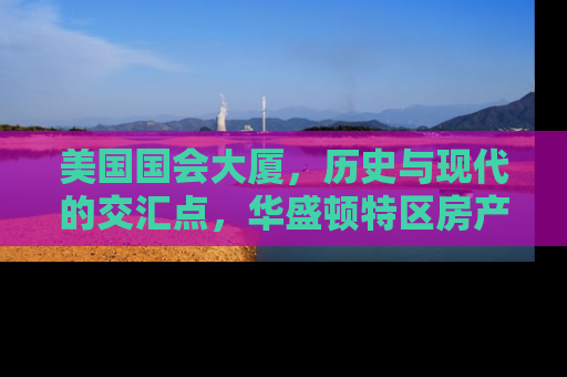 美国国会大厦，历史与现代的交汇点，华盛顿特区房产投资的黄金地段