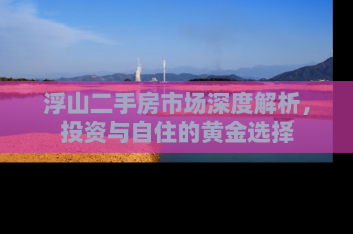 浮山二手房市场深度解析，投资与自住的黄金选择