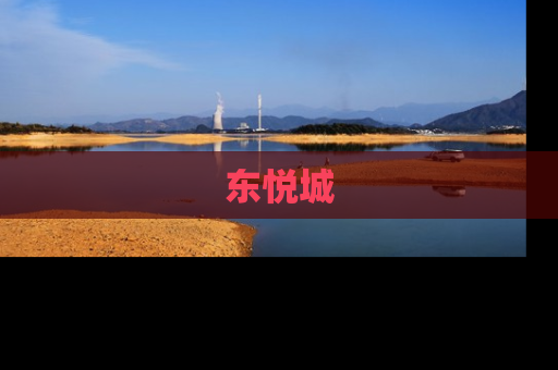 东悦城