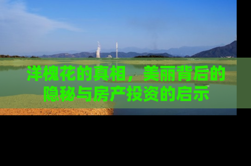 洋槐花的真相，美丽背后的隐秘与房产投资的启示