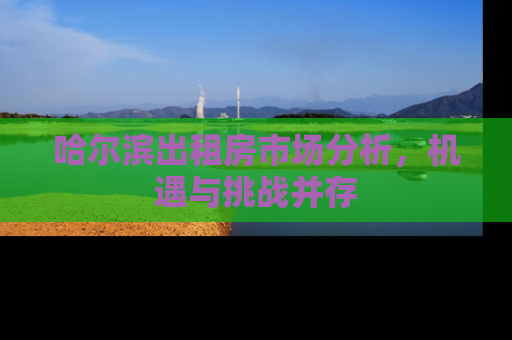 哈尔滨出租房市场分析，机遇与挑战并存