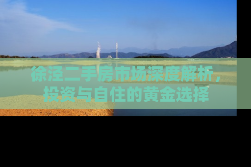 徐泾二手房市场深度解析，投资与自住的黄金选择