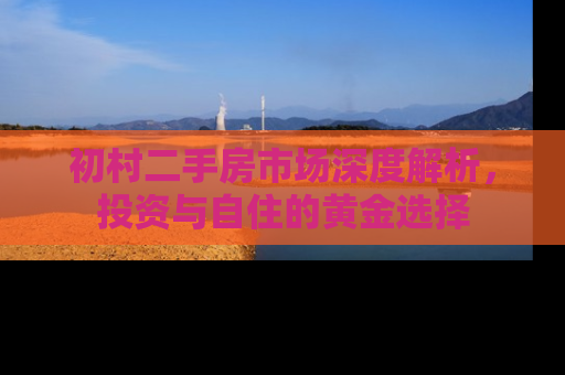 初村二手房市场深度解析，投资与自住的黄金选择