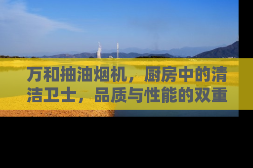 万和抽油烟机，厨房中的清洁卫士，品质与性能的双重保障