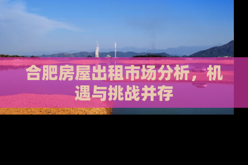 合肥房屋出租市场分析，机遇与挑战并存