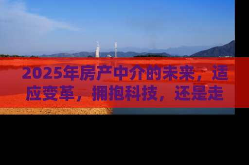 2025年房产中介的未来，适应变革，拥抱科技，还是走向衰落？