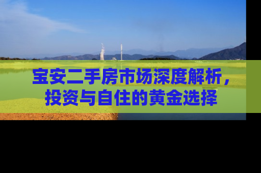 宝安二手房市场深度解析，投资与自住的黄金选择
