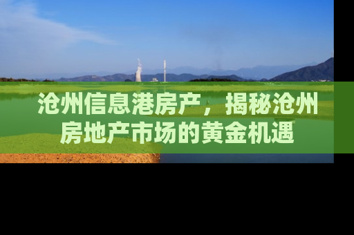 沧州信息港房产，揭秘沧州房地产市场的黄金机遇