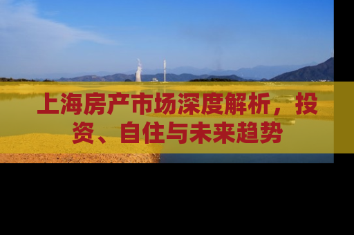 上海房产市场深度解析，投资、自住与未来趋势
