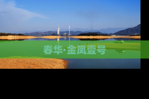 春华·金凤壹号