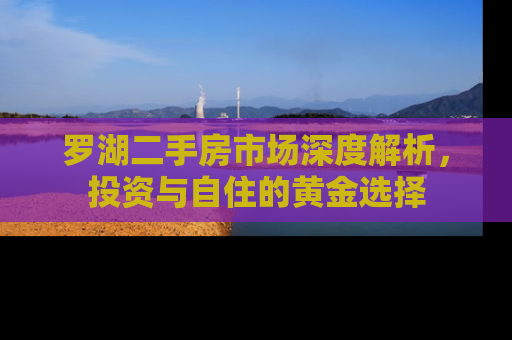 罗湖二手房市场深度解析，投资与自住的黄金选择