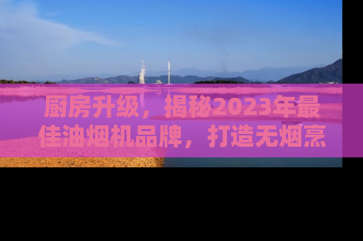 厨房升级，揭秘2023年最佳油烟机品牌，打造无烟烹饪新体验