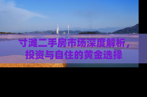 寸滩二手房市场深度解析，投资与自住的黄金选择