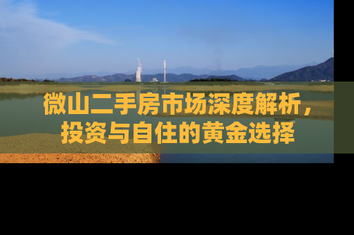 微山二手房市场深度解析，投资与自住的黄金选择