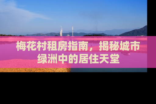 梅花村租房指南，揭秘城市绿洲中的居住天堂