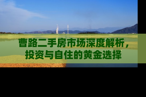曹路二手房市场深度解析，投资与自住的黄金选择