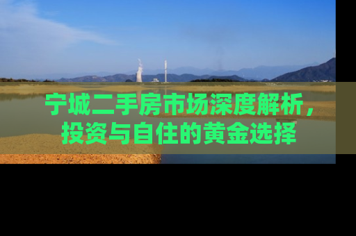 宁城二手房市场深度解析，投资与自住的黄金选择