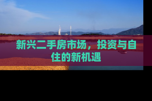 新兴二手房市场，投资与自住的新机遇