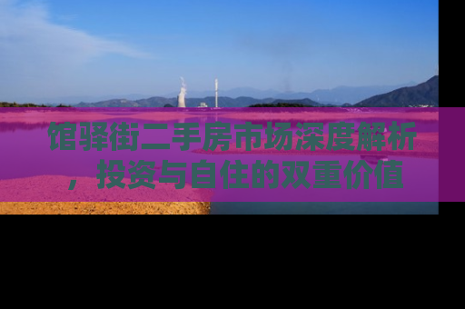 馆驿街二手房市场深度解析，投资与自住的双重价值