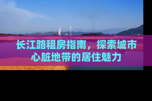 长江路租房指南，探索城市心脏地带的居住魅力