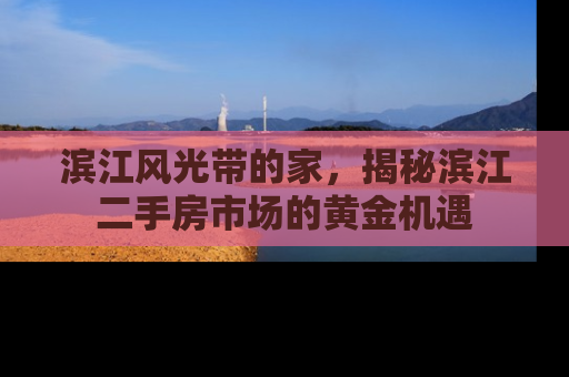 滨江风光带的家，揭秘滨江二手房市场的黄金机遇