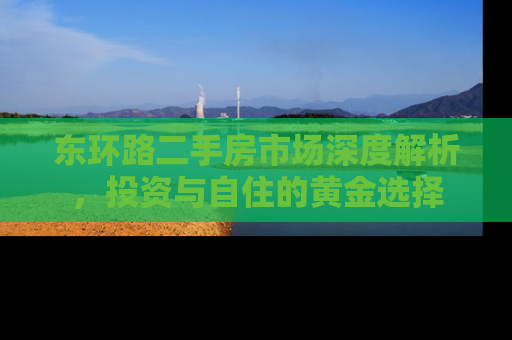 东环路二手房市场深度解析，投资与自住的黄金选择