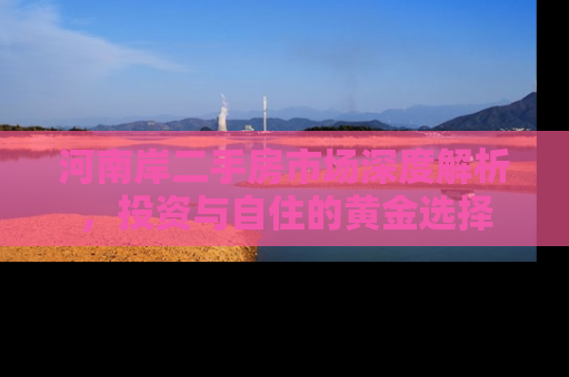 河南岸二手房市场深度解析，投资与自住的黄金选择
