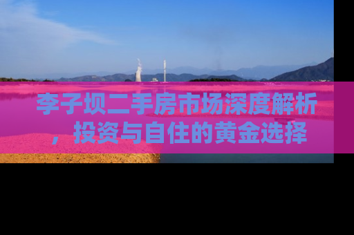 李子坝二手房市场深度解析，投资与自住的黄金选择