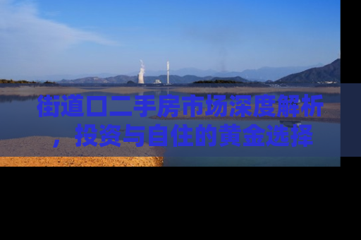 街道口二手房市场深度解析，投资与自住的黄金选择
