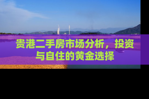 贵港二手房市场分析，投资与自住的黄金选择