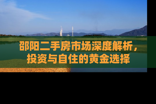 邵阳二手房市场深度解析，投资与自住的黄金选择