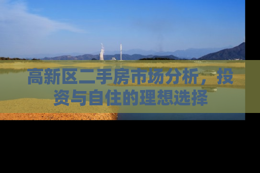 高新区二手房市场分析，投资与自住的理想选择