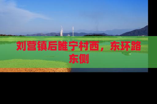 刘营镇后睢宁村西，东环路东侧