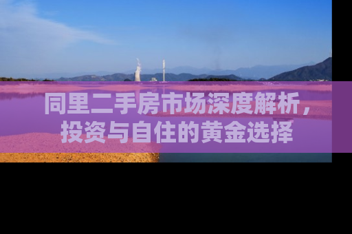 同里二手房市场深度解析，投资与自住的黄金选择