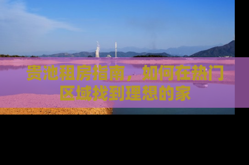 贵池租房指南，如何在热门区域找到理想的家