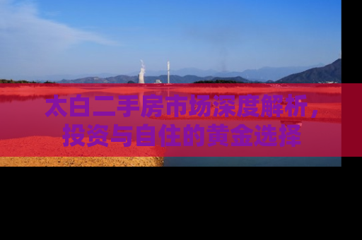 太白二手房市场深度解析，投资与自住的黄金选择
