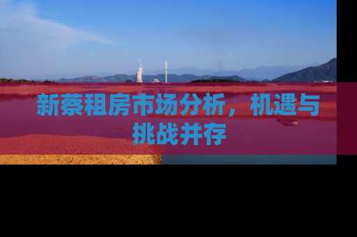 新蔡租房市场分析，机遇与挑战并存